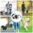 5M Retractable Dog Leash with LED Light Reflective Pet Walking Lead for Medium / Small Dogs, Up to 30Kg - 5