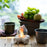 Campfire Table Lamp Ambient Light Bedside Decorative Flame Effect LED Night Light for Bedroom / Bar / Hotel - 4