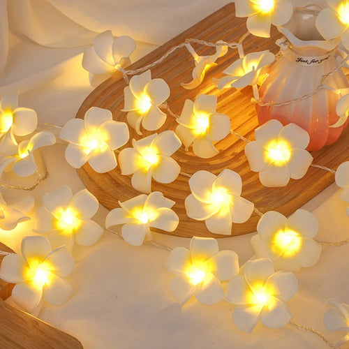 3m 20 Warm White Plumeria LED Flower String Lights USB Powered Fairy String Lights for Room Decoration Indoor Outdoor - 1