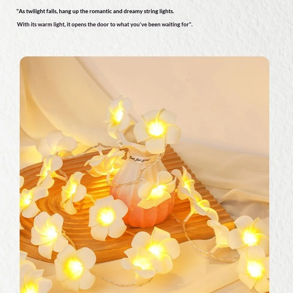 3m 20 Warm White Plumeria LED Flower String Lights USB Powered Fairy String Lights for Room Decoration Indoor Outdoor - 4