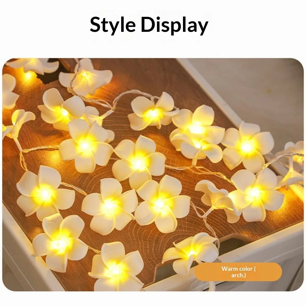 3m 20 Warm White Plumeria LED Flower String Lights USB Powered Fairy String Lights for Room Decoration Indoor Outdoor - 5