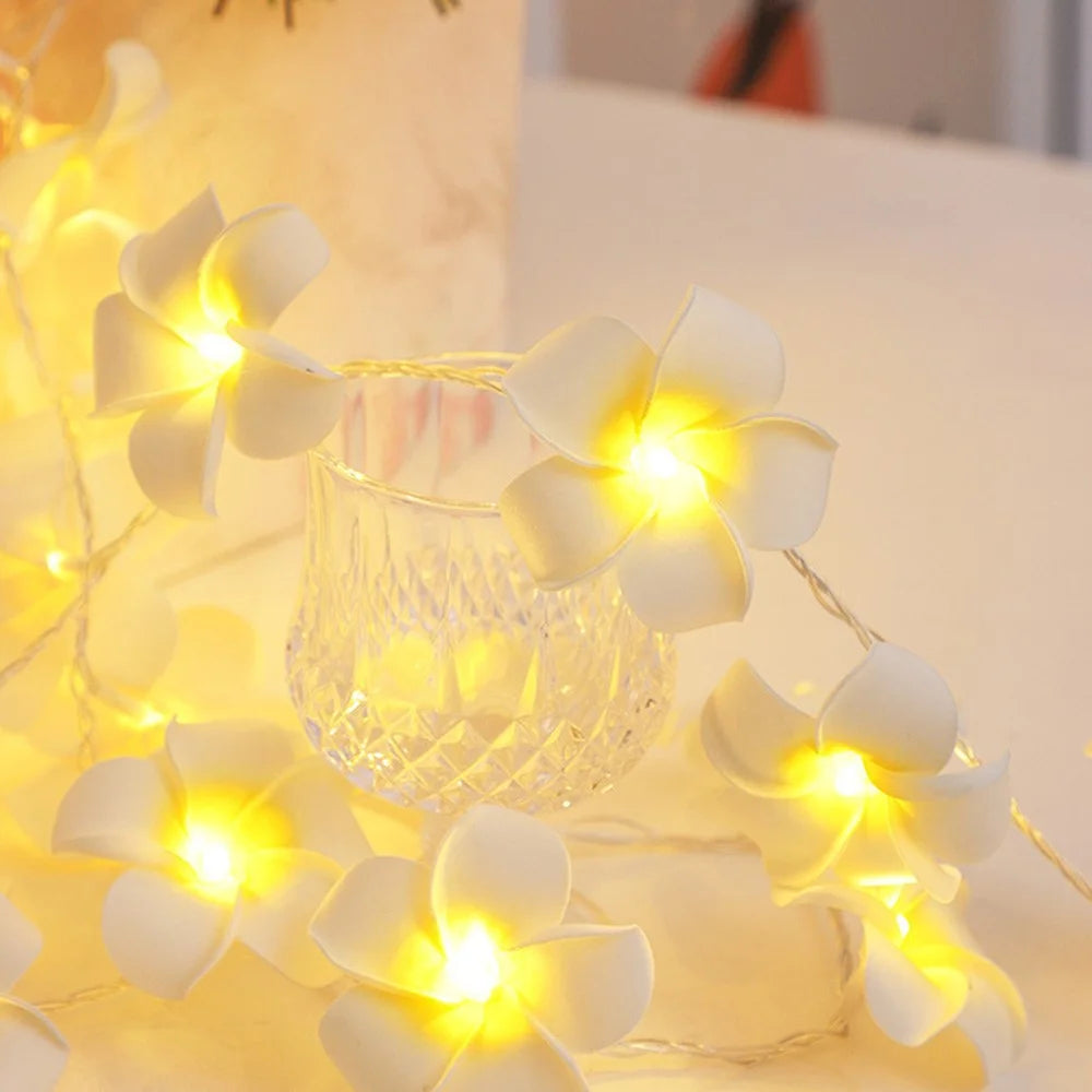 3m 20 Warm White Plumeria LED Flower String Lights USB Powered Fairy String Lights for Room Decoration Indoor Outdoor - 6