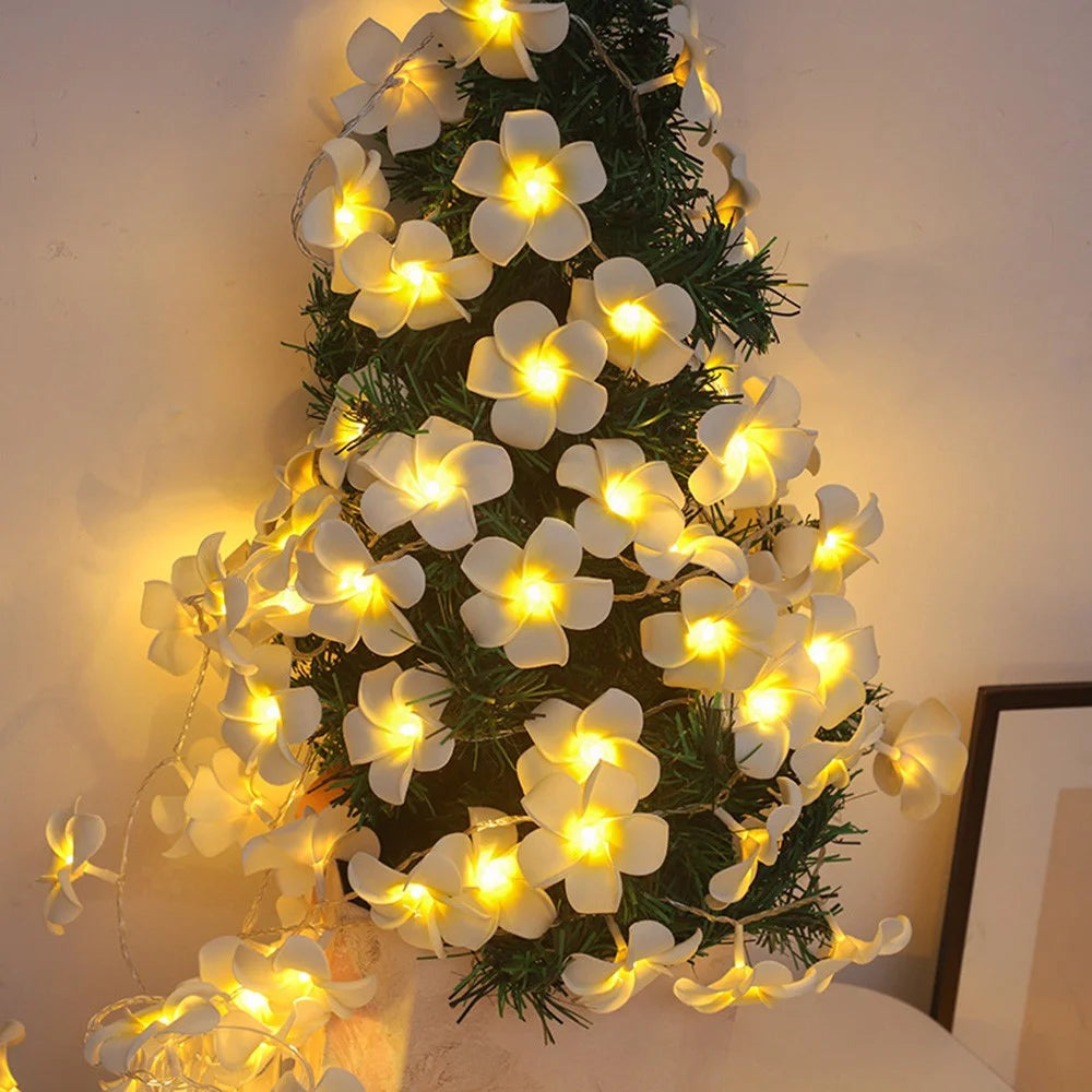 3m 20 Warm White Plumeria LED Flower String Lights USB Powered Fairy String Lights for Room Decoration Indoor Outdoor - 7