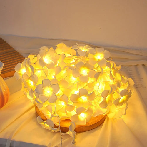 6m 40 Warm White Plumeria LED Flower String Lights USB Powered Fairy String Lights for Room Decoration Indoor Outdoor - 1