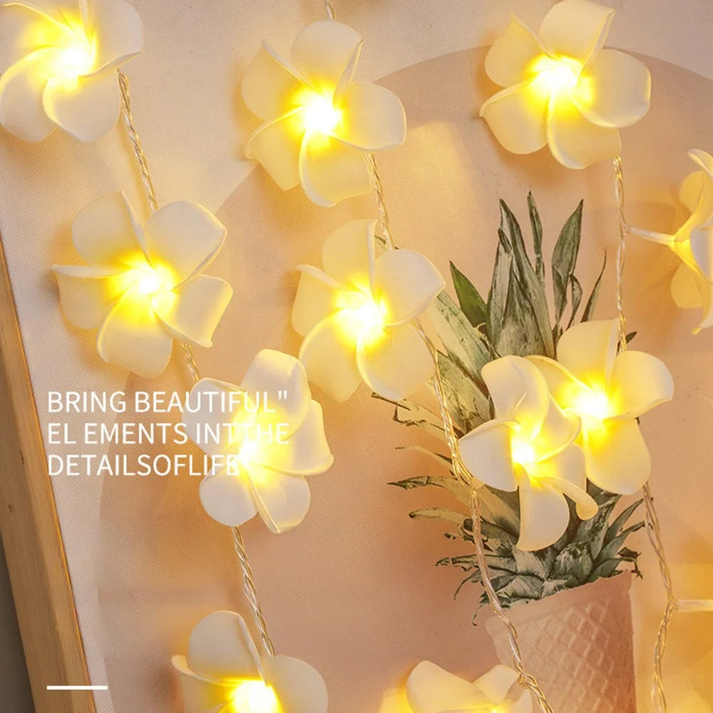 6m 40 Warm White Plumeria LED Flower String Lights USB Powered Fairy String Lights for Room Decoration Indoor Outdoor - 2