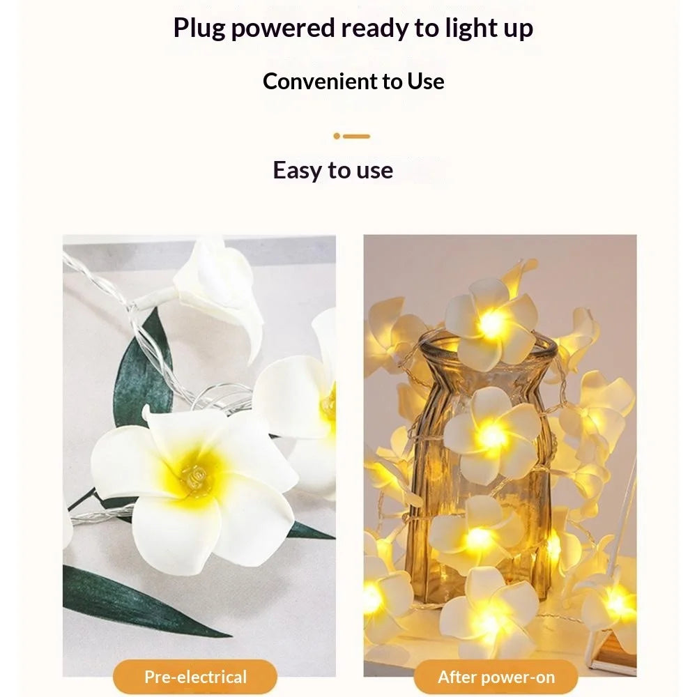 6m 40 Warm White Plumeria LED Flower String Lights USB Powered Fairy String Lights for Room Decoration Indoor Outdoor - 4