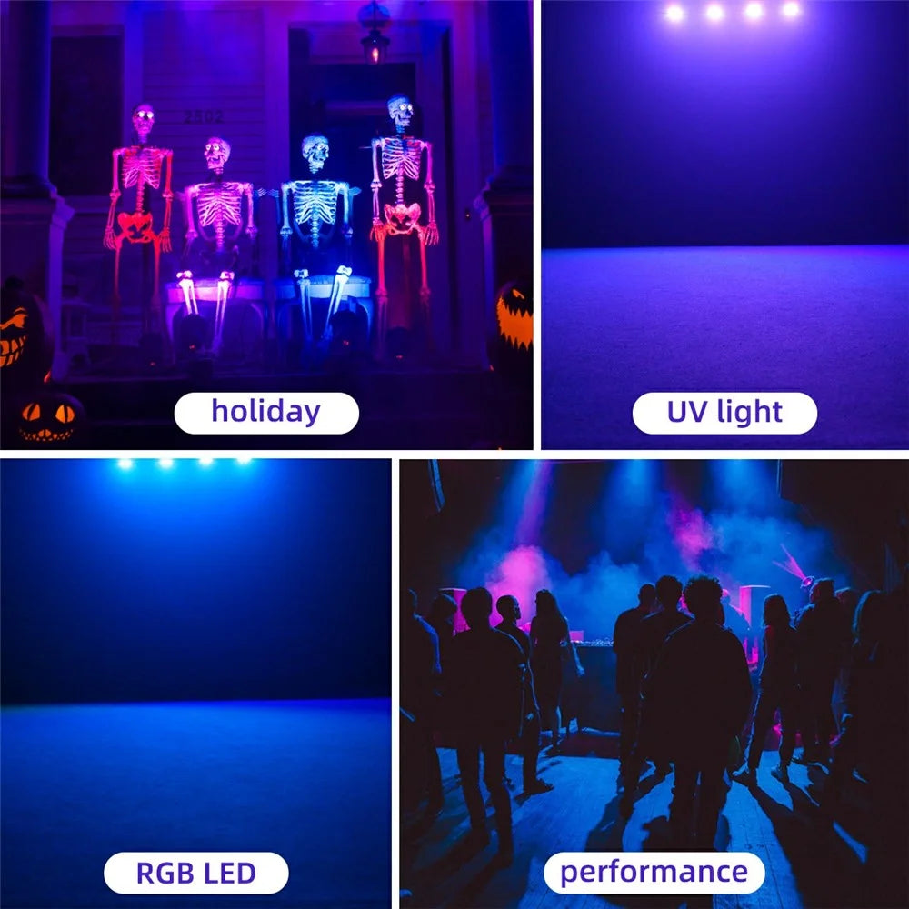 L2800 RGB Double Projection Laser Lamp 450mW 170 Patterns DMX Sound Control Party Light for DJ Stage -Black - 4
