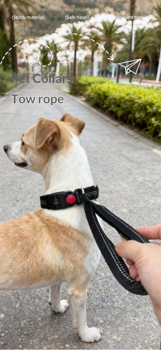 Large Dog Collar Leash Anti Pull Nylon Pet Leash Anti Escape for Golden Retriever Beagle - Black - 2