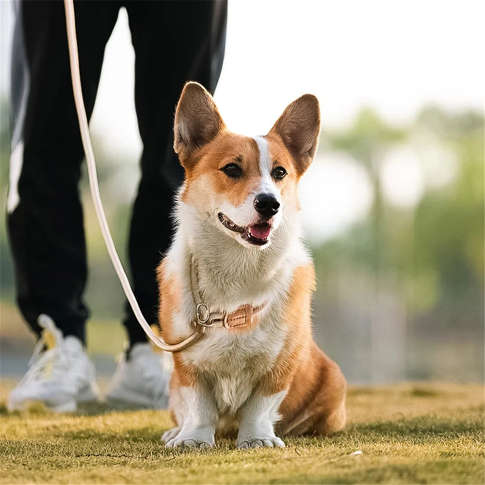 AIWO 1.7mx8mm High-Strength Knitted Dog Leash Pet Traction Rope Walking Training Lead Leash - Light Coffee Color - 2