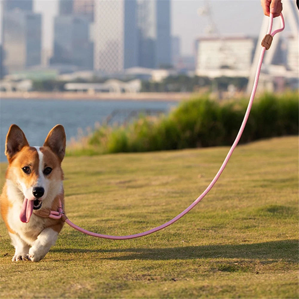 AIWO 1.7mx8mm High-Strength Knitted Dog Leash Pet Traction Rope Walking Training Lead Leash - Light Coffee Color - 5