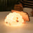 K-1156 Cute Sheep Bedside Sleeping Light Children Creative Night Light Touch Control Dimming Silicone Lamp (CE, FCC, CPC Certificated) - Black - 3