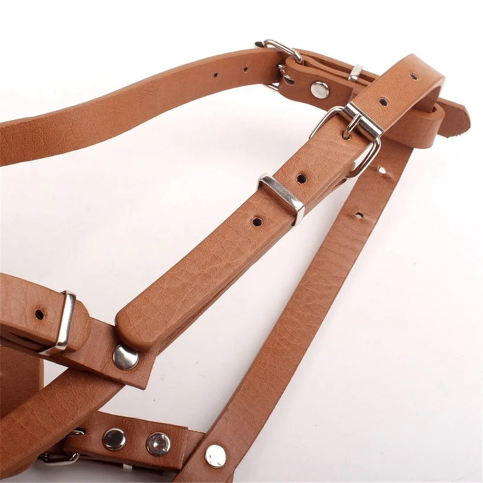 Adjustable Leather Straps Wire Basket Dog Anti-bite Muzzle Protective Mouth Cover Accessories, Size M - Brown - 3