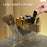PET Lipstick Storage Box Multi-grid Dressing Table Makeup Brush Lip Glaze Transparent Organizer - Transparent Grey - 4