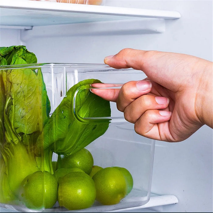 TY-9049 Transparent PET Food Organizer Refrigerator Storage Box, Size L (BPA Free, No FDA) - 2
