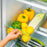 TY-0640 Kitchen Storage Box with Handle Clear Refrigerator Food Organizer, Size L (BPA Free, No FDA) - 2