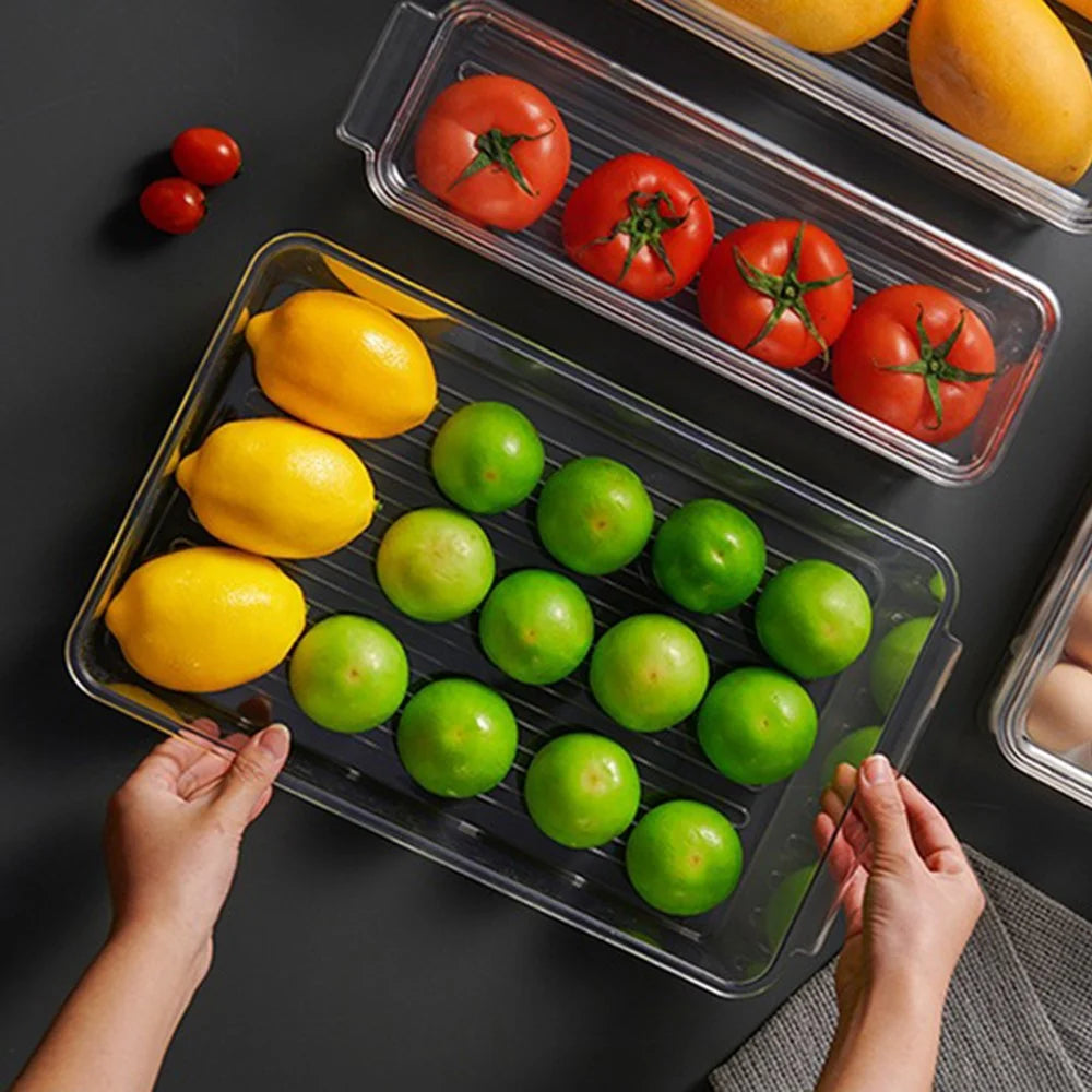 TY-9067 Airtight Fruit Storage Container for Fridge with Lids Refrigerator Organizer Box (BPA-Free, NO FDA) - 3