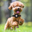 Silicone Pet Collar with Protective Case for AirTag Bluetooth-compatible Tracker Adjustable Neck Strap, with Front Back Film Set - Violet - 6