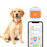 G01 Waterproof Smart Pet Tracker WiFi+GPS Positioning Anti-Lost Collar for Cats Dogs, Eurasian Version - Orange S - 3