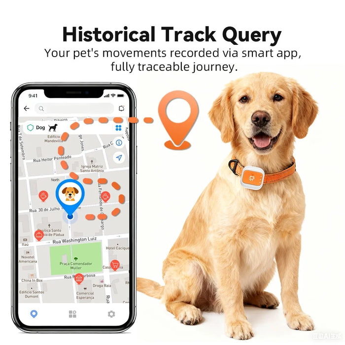 G01 Waterproof Smart Pet Tracker WiFi+GPS Positioning Anti-Lost Collar for Cats Dogs, Eurasian Version - Orange S - 4
