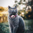 Compatible with AirTag Silicone Case Pet Cat Collar GPS Tracker Protective Cover with Bell, with Front Back Film Set - Gradient Orange - 5