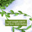 50m Simulation Green Willow Leaves Rattan DIY Accessories Decorative Flower Supplies - 6