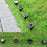 4Pcs SL6001 Outdoor Solar LED Ground Light Garden Lawn Pathway Waterproof Underground Lamp - Warm Light+Colorful Light - 3