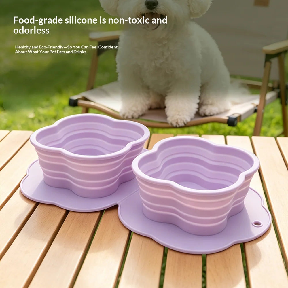2 in 1 Silicone Collapsible Double Pet Bowl Water and Food Feeder for Travel Outdoor (BPA Free, No FDA) - Turquoise - 2