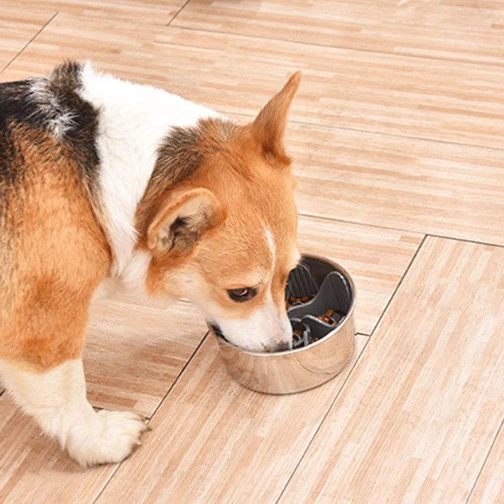 Dog Food Bowl Slow Feeder Windmill Shape Sucker Base Slow Eating Pet Feeding Bowl Accessories (No FDA Certification, BPA Free) - 6