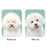 Pet Hair Dryer with Slicker Brush Hair Removal Portable Dog Blower Professional Home Grooming Furry Drying for Small Large Cat Dog - RK51 - 3