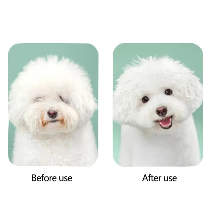 Pet Hair Dryer with Slicker Brush Hair Removal Portable Dog Blower Professional Home Grooming Furry Drying for Small Large Cat Dog - RK51 - 3