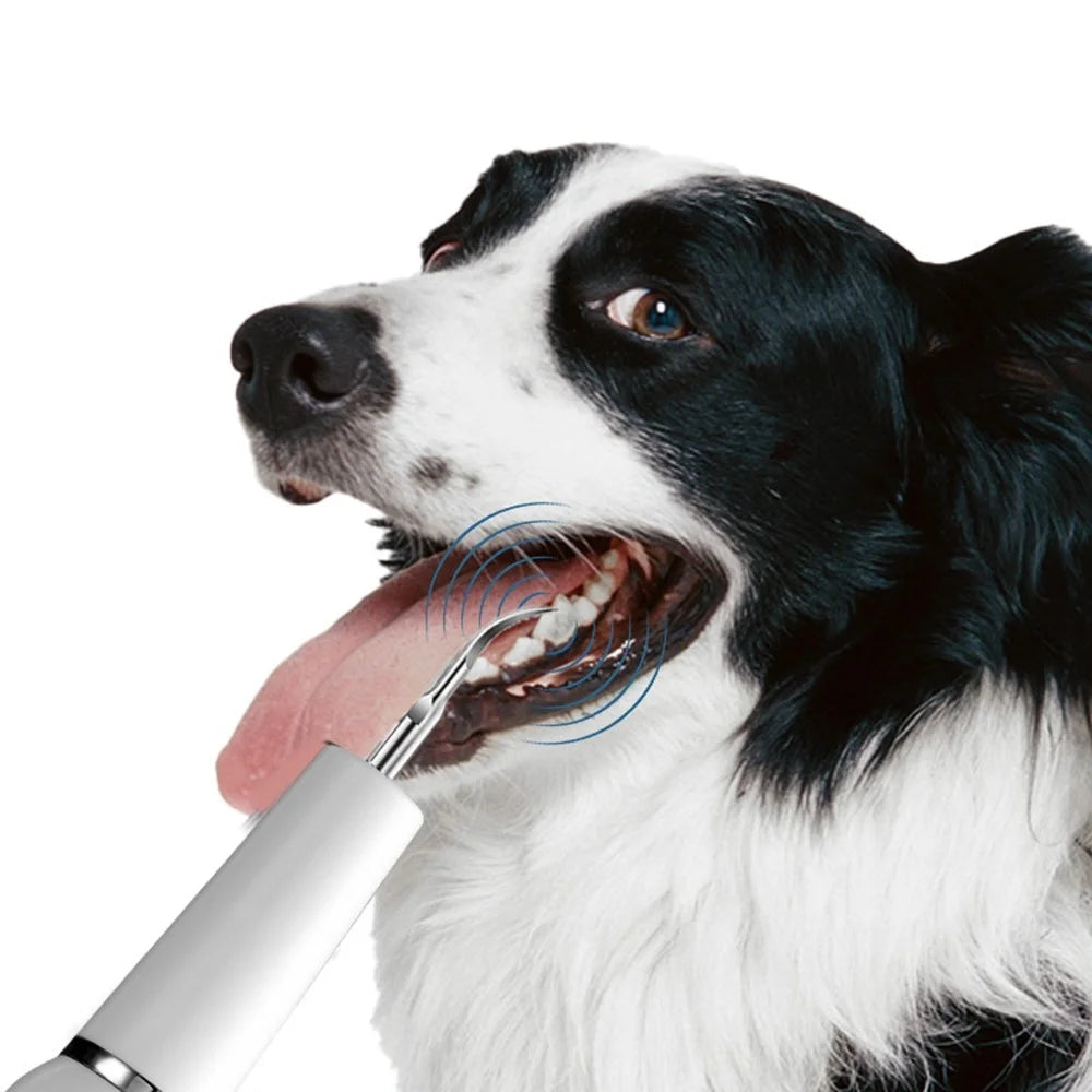 K15 Pet Dog Ultrasonic Dental Scaler Tartar Plaque Remover Electric Teeth Cleaning Device Gift - White - 5