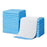 40Pcs Size L Strong Absorption Pet Training Pads Leak Proof Disposable Urine Pads for Dogs Cats, 60 x 60cm - 2