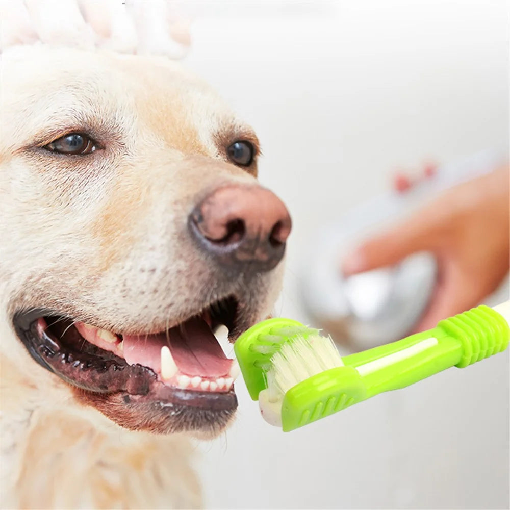 HISTOTREE Pet Dog Cat 3-Head Toothbrush Plastic+Nylon Oral Care Teeth Cleaning Tool (BPA-Free, No FDA Certified) - Olive Green - 2