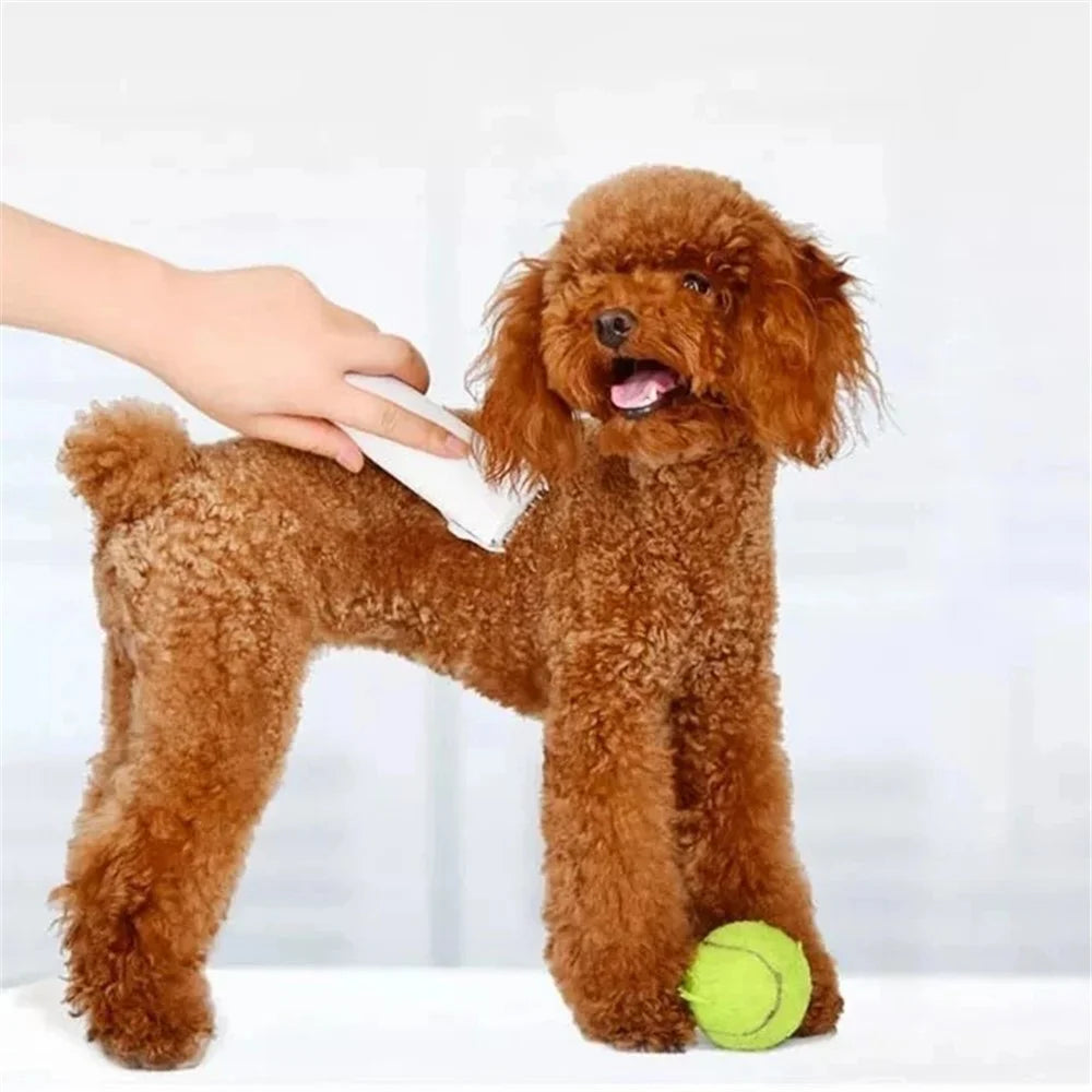 XIAOMI YOUPIN Pawbby MG-HC001 Pet Electric Hair Shaver Rechargeable Dog Grooming Clippers with Lubricant (Chinese Version) - 4
