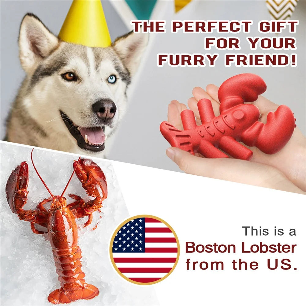 LX-01 Dog Chewing Teething Toy Lobster Pet Toy Gift for Medium Large Dogs (BPA Free, CPC  /  FDA  /  RoHS Certified) - Red - 5