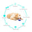 TTQ-01 Pet Dog Treat Ball Feed Dispenser Tooth Cleaning Bounce Toy Gift (BPA Free, CPC / FDA / RoHS Certified) - Red+White+Blue - 2