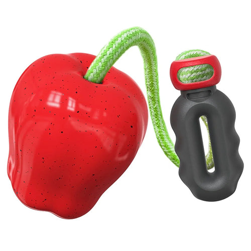 HWPG-01 Dog Fetch Catch Throw Toy Apple Fruit Pet TPR Toy Gift (BPA Free, CPC / FDA / RoHS Certified) - Red - 1