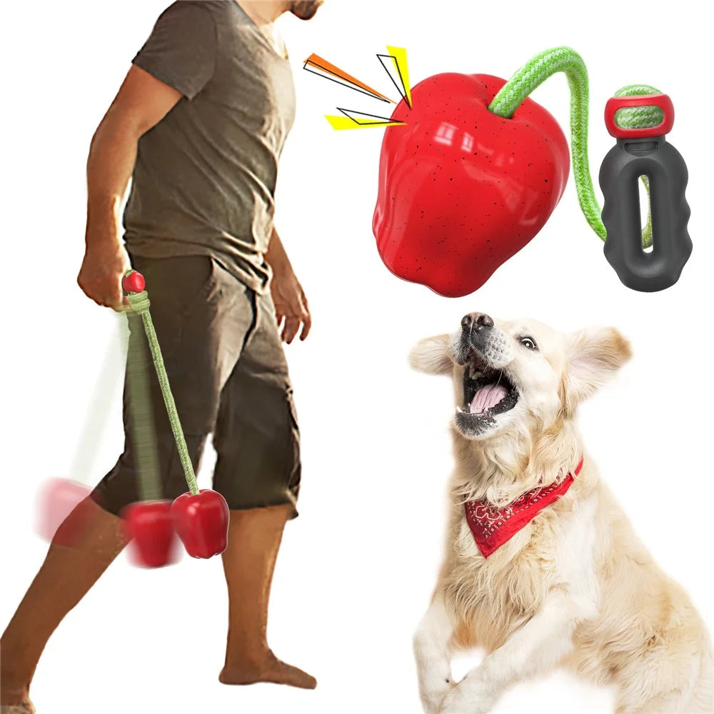 HWPG-01 Dog Fetch Catch Throw Toy Apple Fruit Pet TPR Toy Gift (BPA Free, CPC / FDA / RoHS Certified) - Red - 2