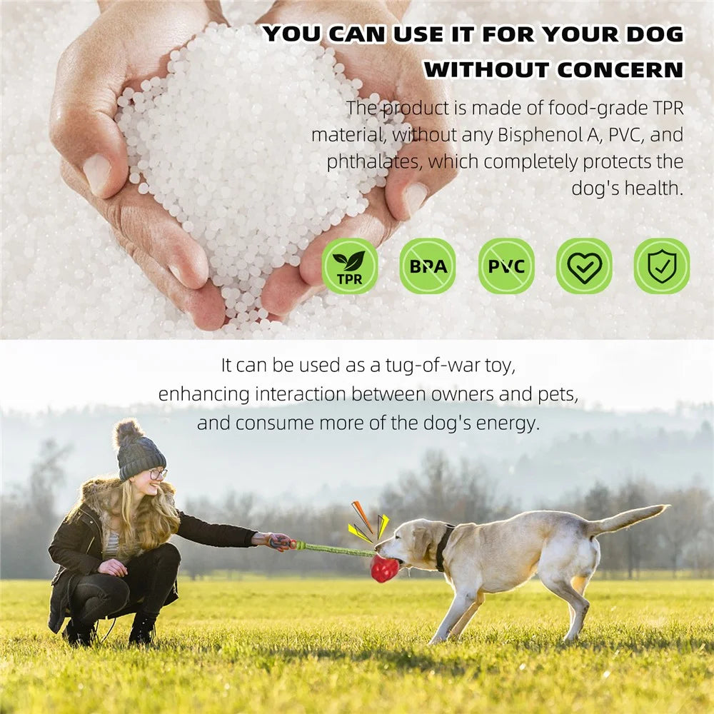 HWPG-01 Dog Fetch Catch Throw Toy Apple Fruit Pet TPR Toy Gift (BPA Free, CPC / FDA / RoHS Certified) - Red - 6