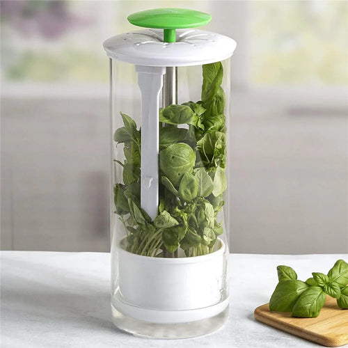 Herb Fresh-Keeping Box Vegetable Herb Coriander ABS+Stainless Steel Storage Box - Green - 1