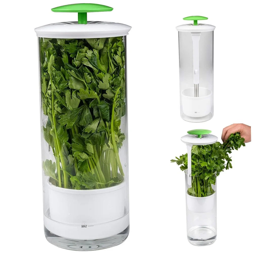Herb Fresh-Keeping Box Vegetable Herb Coriander ABS+Stainless Steel Storage Box - Green - 2