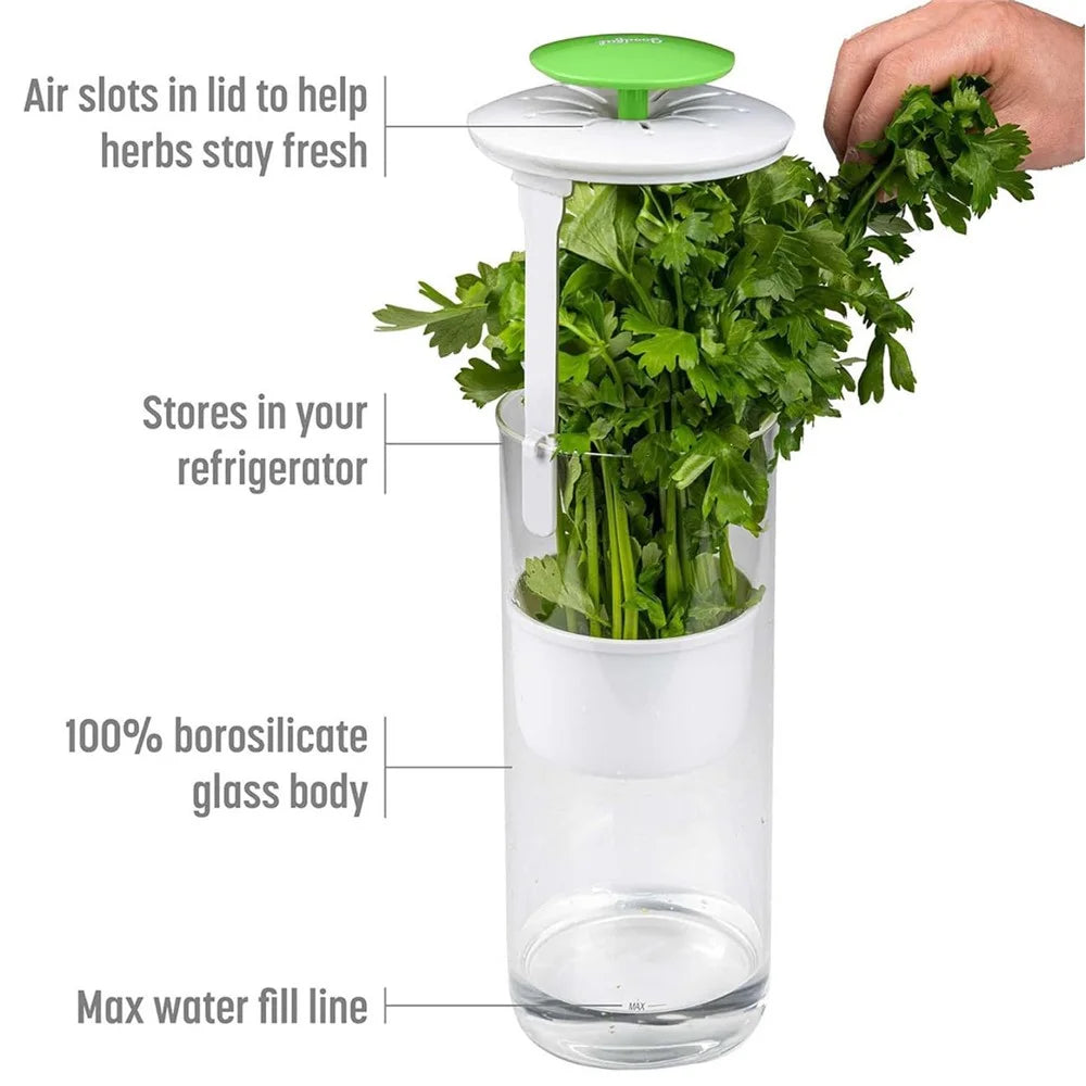 Herb Fresh-Keeping Box Vegetable Herb Coriander ABS+Stainless Steel Storage Box - Green - 3