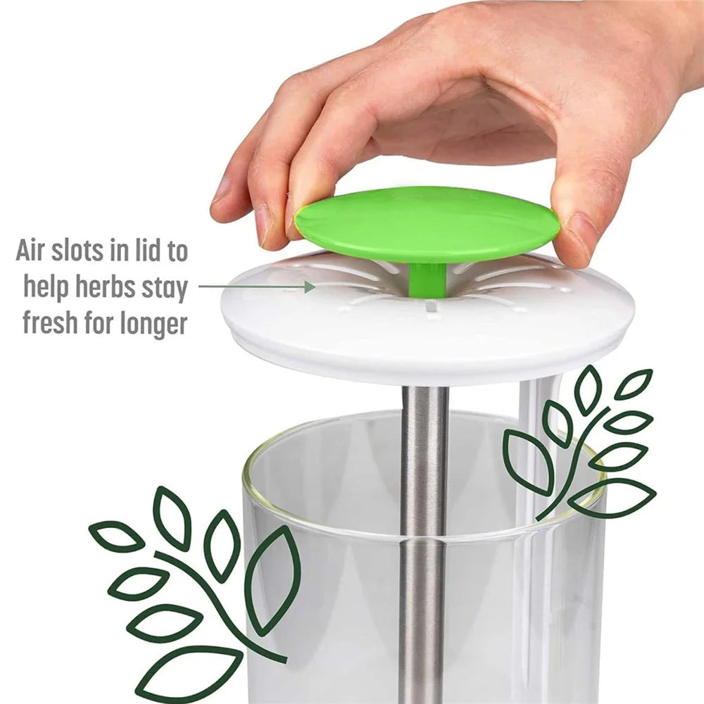 Herb Fresh-Keeping Box Vegetable Herb Coriander ABS+Stainless Steel Storage Box - Green - 4