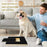 Solid Wood Dog Scratch Board with Retractable Food Box Pet Toy Nail File Trimmer - 3