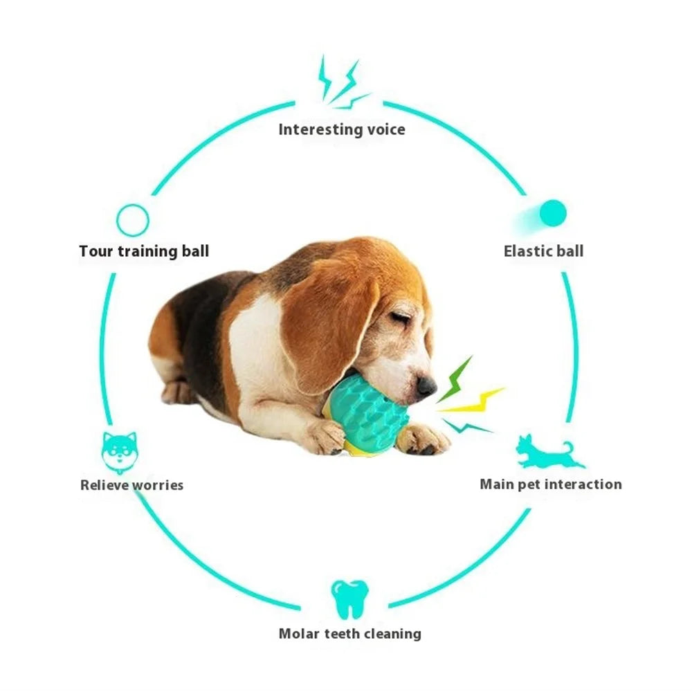 Pet Dog Squeaky Toy Gift Teething Chew Ball for Dental Cleaning Puppy Interactive Float Ball - Lake Blue - 4