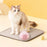 Pet Communication Sound Button Recordable Voice Trainer Gift for Interactive Training - Pink - 2