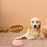 Pet Communication Sound Button Recordable Voice Trainer Gift for Interactive Training - Pink - 3