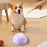 Pet Communication Sound Button Recordable Voice Trainer Gift for Interactive Training - Pink - 7