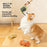 Ocean Animal Dog Rope Toy Squeaky Durable Pet Toys Turtle Crab Starfish for Chewing Playing - Turtle - 3