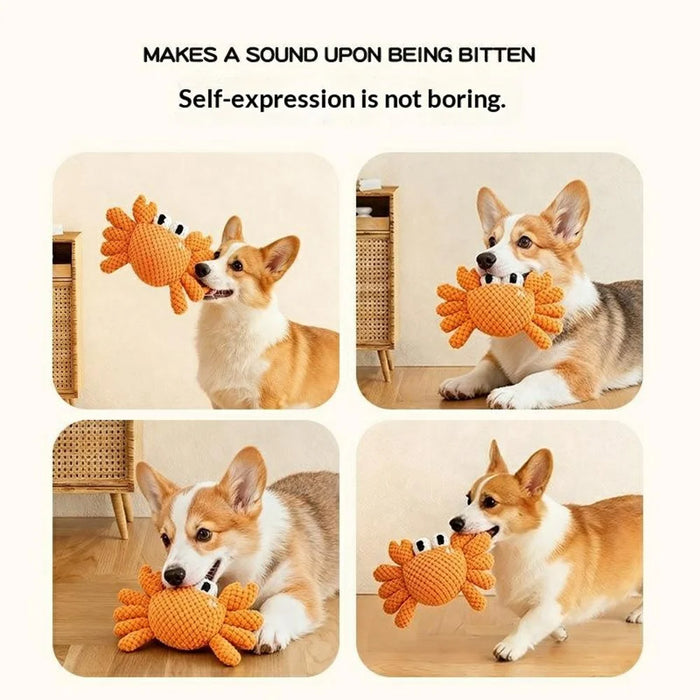 Ocean Animal Dog Rope Toy Squeaky Durable Pet Toys Turtle Crab Starfish for Chewing Playing - Turtle - 5